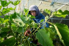 Soeur Charlotte est responsable du potager de l'Abbaye de Boulaur, dans le Gers, une communauté cistercienne adepte de permaculture et d'élevage durable développe une ferme résolument moderne.