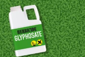 L’Allemagne a voté lundi 27 novembre en faveur du prolongement de la licence du glyphosate..