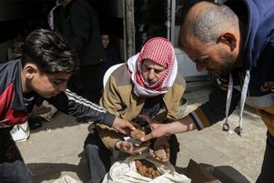 Un jeune vend des truffes des sables sur un marché de la ville de Hama, dans le centre-ouest de la Syrie, le 6 mars 2023. Entre février et avril, des centaines de Syriens précaires recherchent « l'or jaune » dans le désert, qui sert également de repère aux djihadistes.
