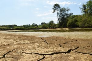 Le ministre de la transition écologique Christophe Béchu a déclaré mardi 11 juillet que 68 % des nappes phréatiques françaises sont en dessous des seuils normaux pour le mois de juin (photo d’illustration, à Monfort en Chalosse, dans le Sud-Ouest de la France, en août 2022).