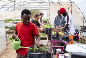 Parmi les 101 chantiers d’insertion des Restos du cœur, l’association compte 44 jardins, comme celui de Villeneuve-lès-Maguelone, dans l’Hérault, ici en avril. Ces projets sont financés par les dons provenant de l’impôt sur la fortune immobilière.