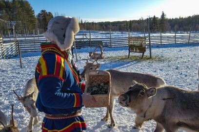 Le premier épisode du podcast « En Finlande, les gardien.ne.s du Sápmi » plonge l’auditeur dans la culture de ce peuple autochtone.