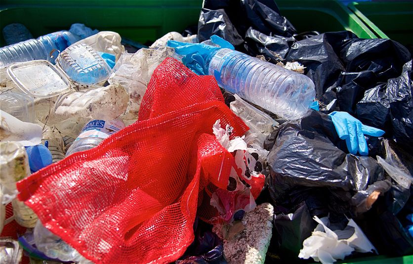 Déchets collectés dans la Mer Méditerannée, le 6 octobre 2019